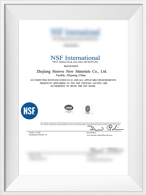 NSF Internacional